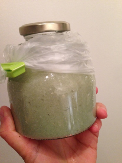 grønn hvitløk fermentering